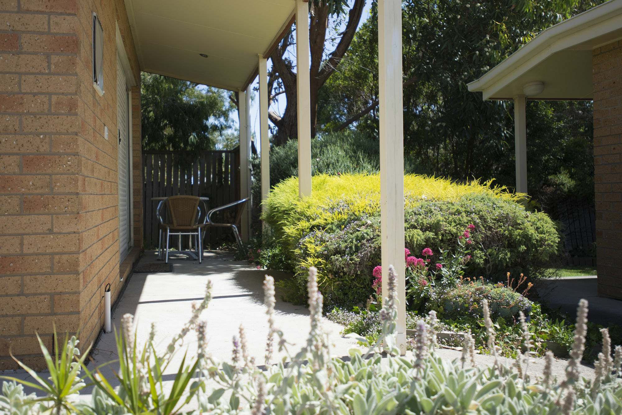 Port Campbell Parkview Motel & Apartments Exterior photo